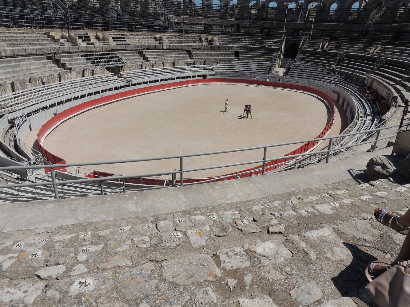 2022 07 UN AIR DE VACANCES 16 DU COTE D ARLES (56).JPG -           